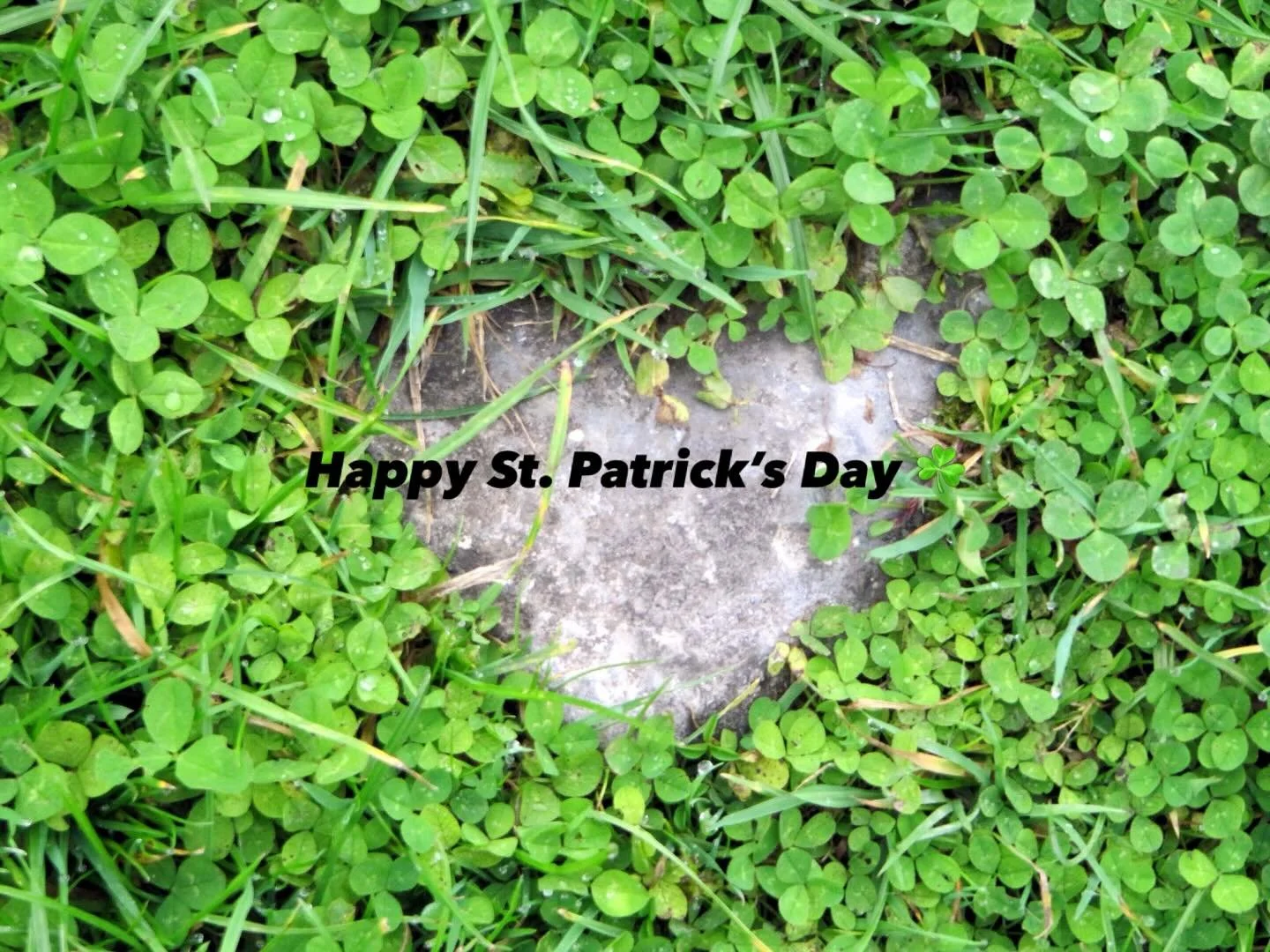 Happy St. Patrick&rsquo;s Day ☘️