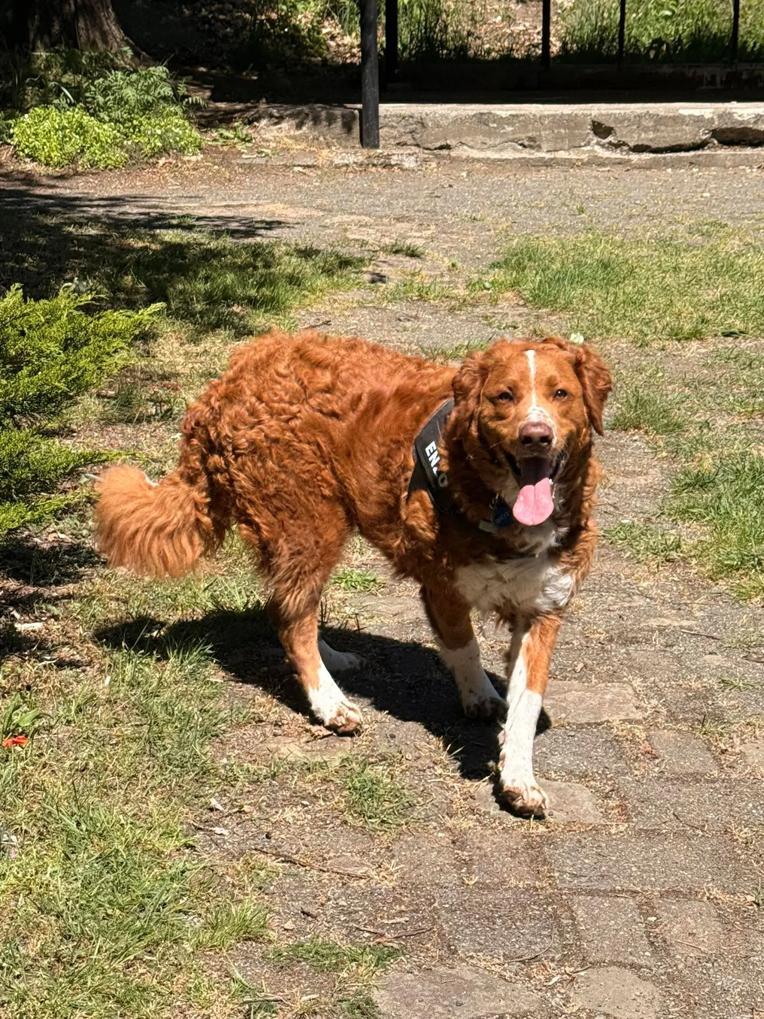 Look at that happy face 🥰