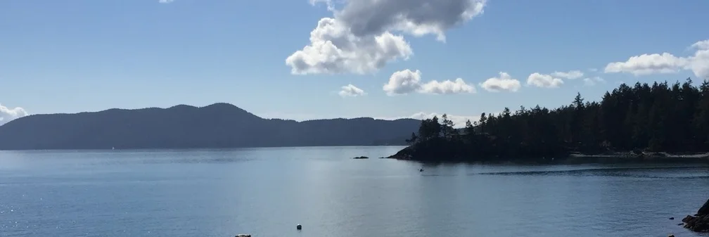 doe bay view.jpg