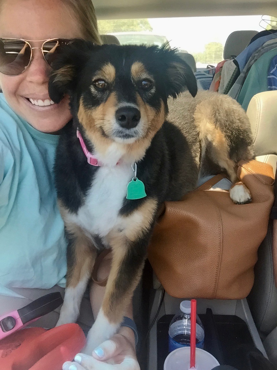 Diva dog back in my Tory Burch bag that is meant to block her out and keep her in the backseat. 