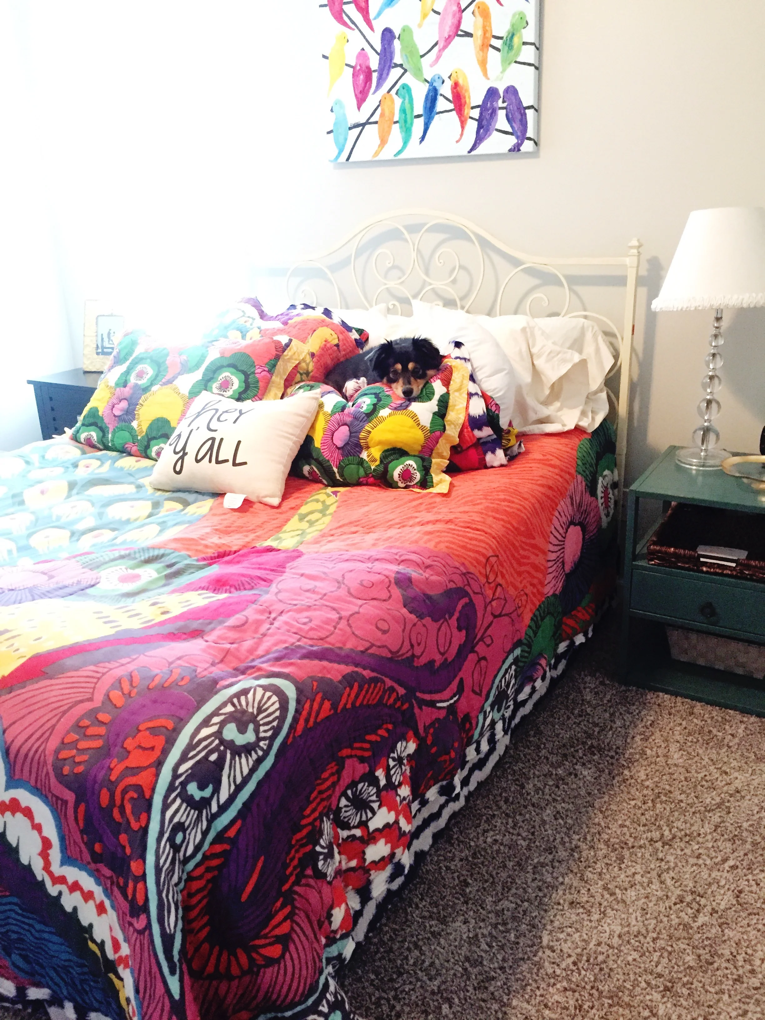 Another tip might be to close your guest bedroom door, so your dogs don't make themselves comfy in the guest bedroom bed before your visitors arrive. However, I obviously did not abide by that one.