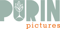 PurinPictures_logo.png