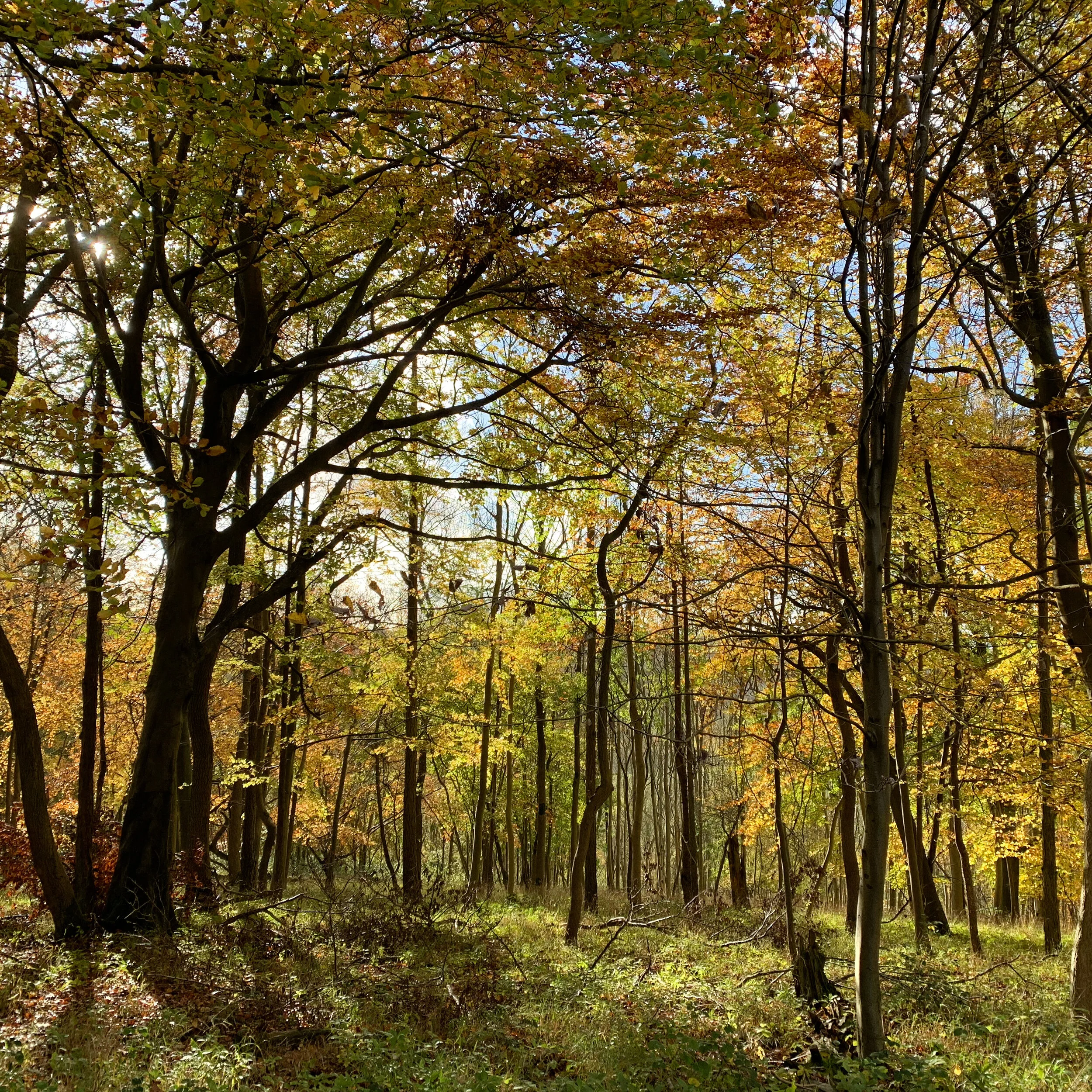 Patterns of change, release and letting go