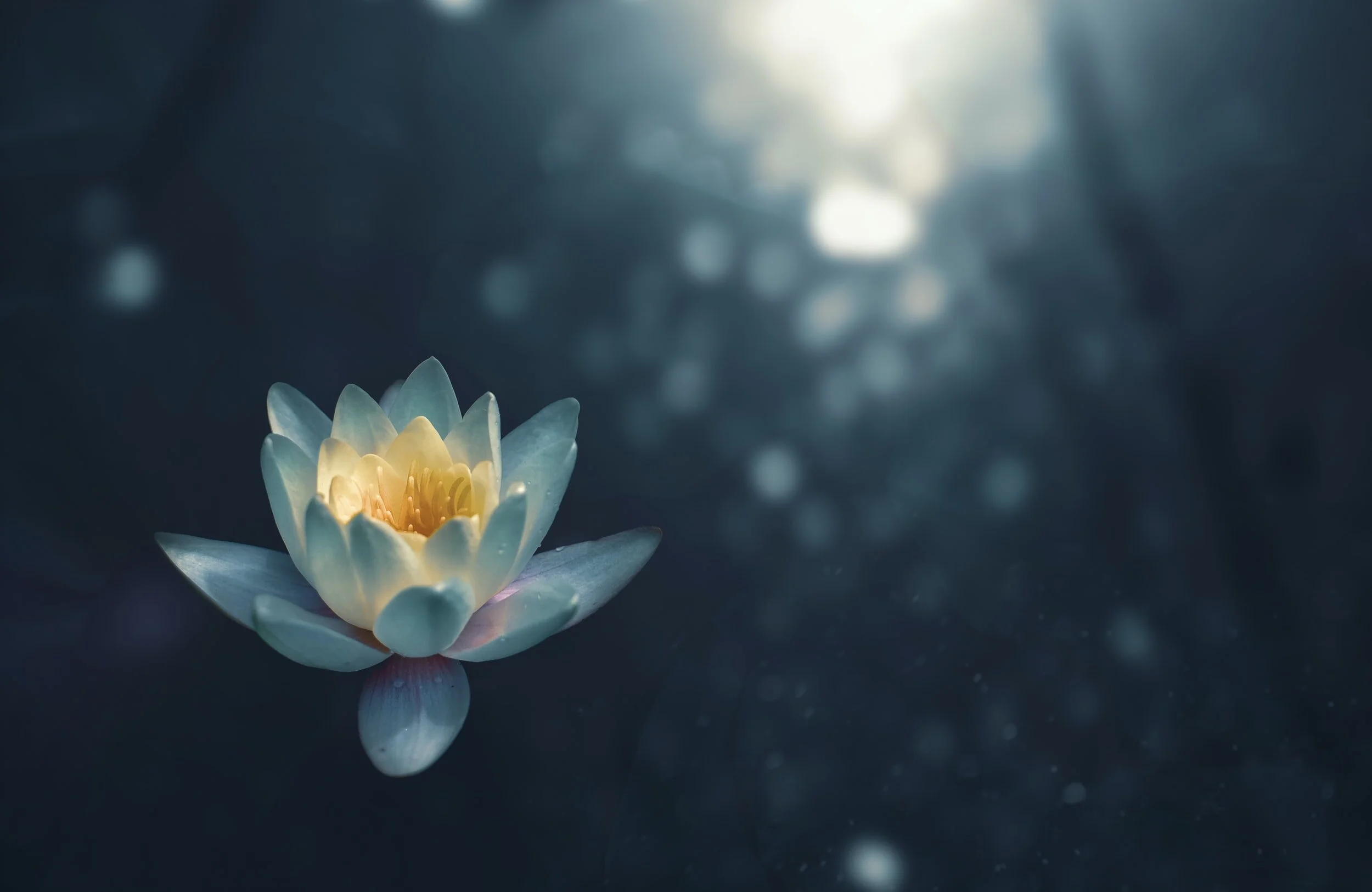Practice: Meditation for being gentle with ourselves