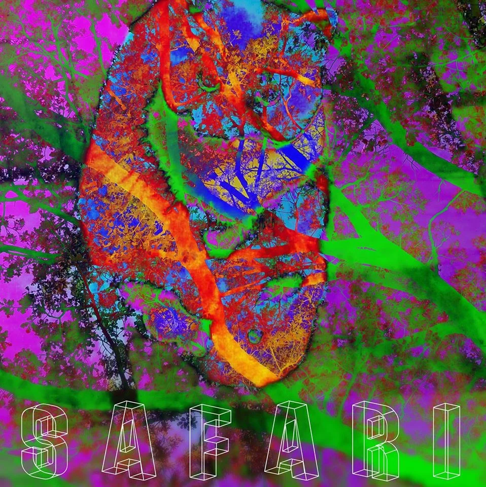 Listen to Safari here .