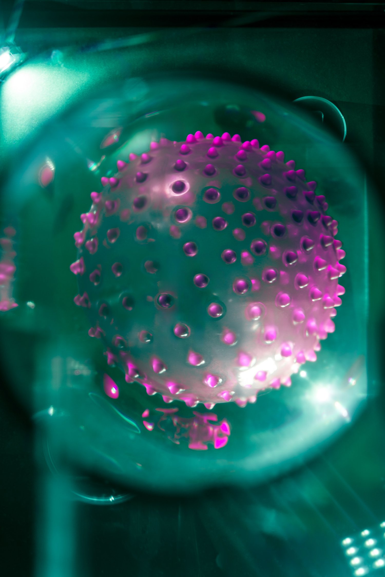 NK2_2776-1.jpg