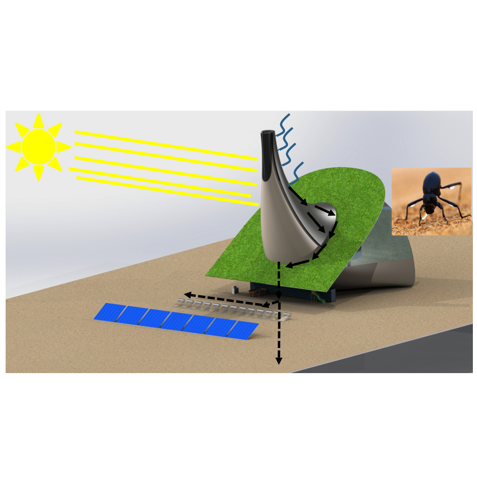 Water Collection Details