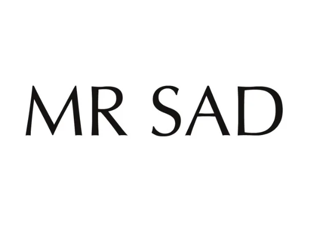 MR SAD Zine pg006.jpg