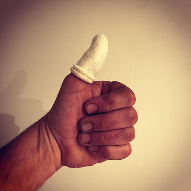 Thought I&rsquo;d celebrate almost finishing @fiveacresflowerfarm new greenhouse by nearly cutting off the tip of my thumb. Thanks to the good folks at the Abby ER all should be well in a couple weeks.  Disturbing fact: Did you know they can reattach