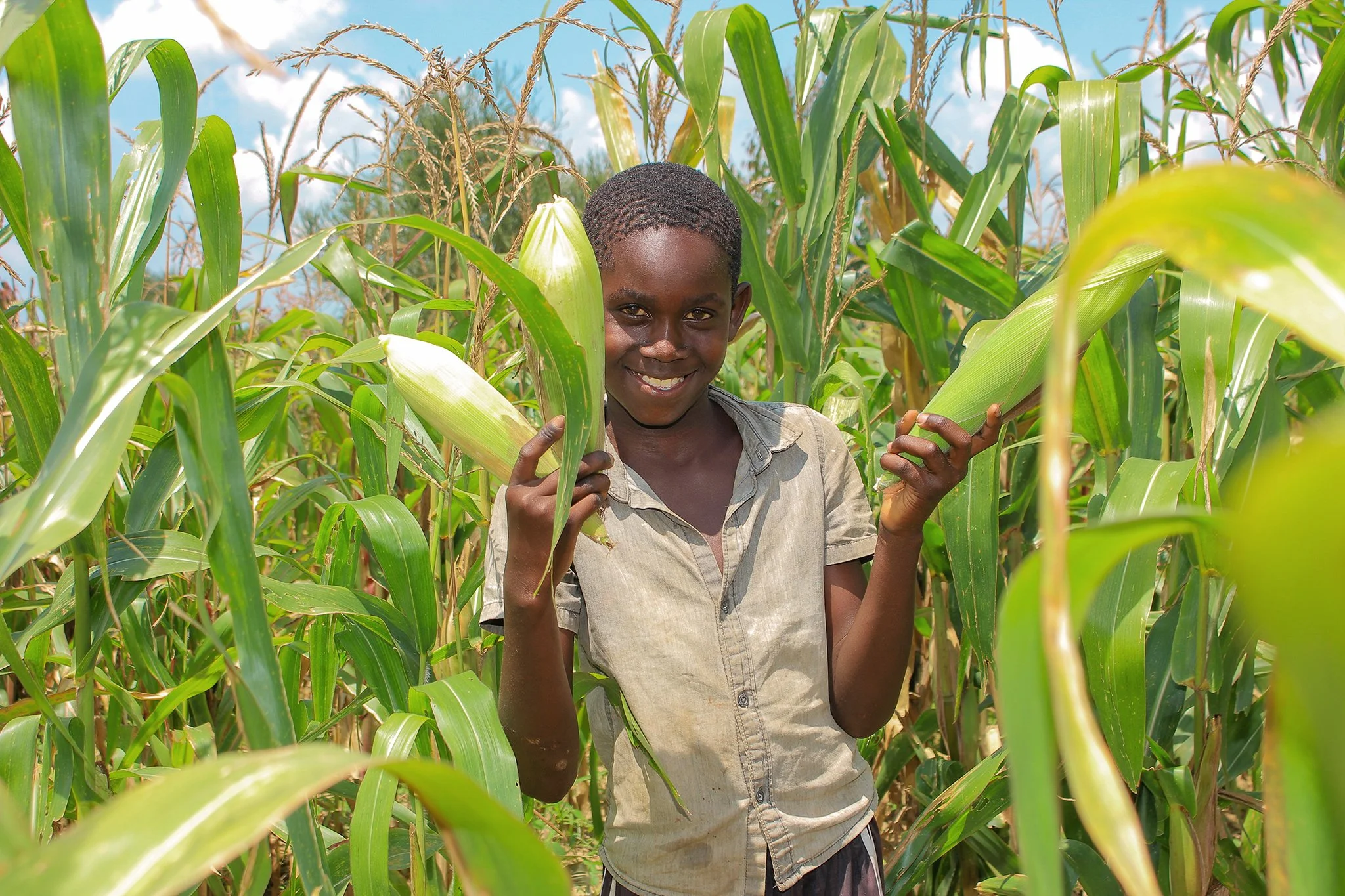 Quality Inputs Challenge