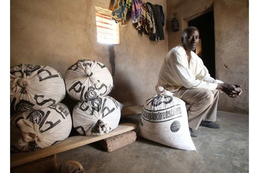 Post-Harvest Support Challenge