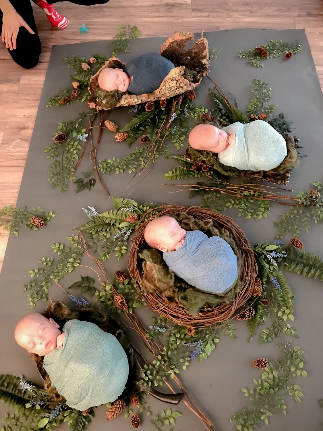 A behind the secens image of all four babies sleeping in their forest baskets