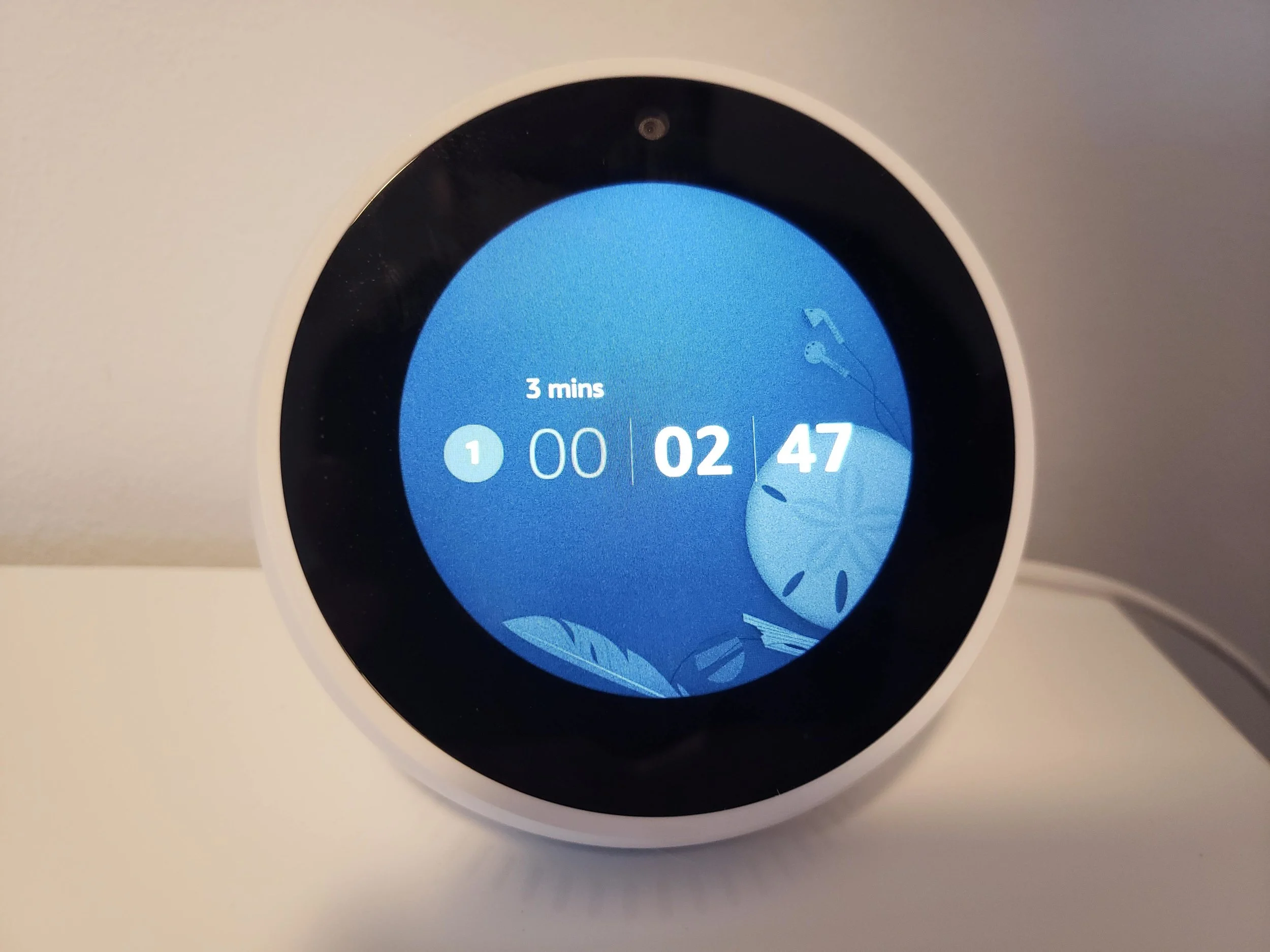 Is Alexa Worth Buying? —