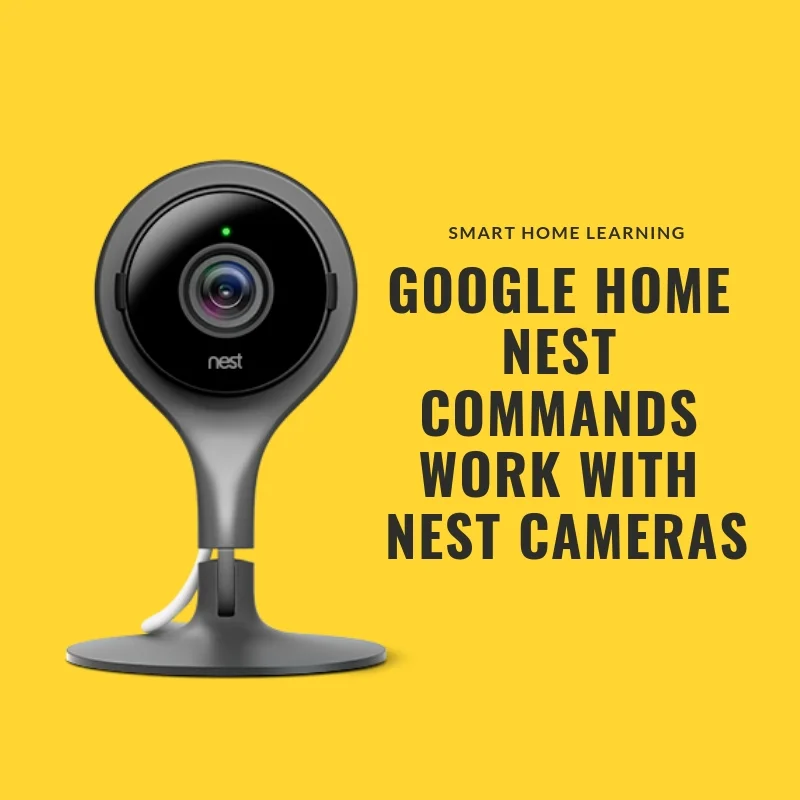 nest google commands