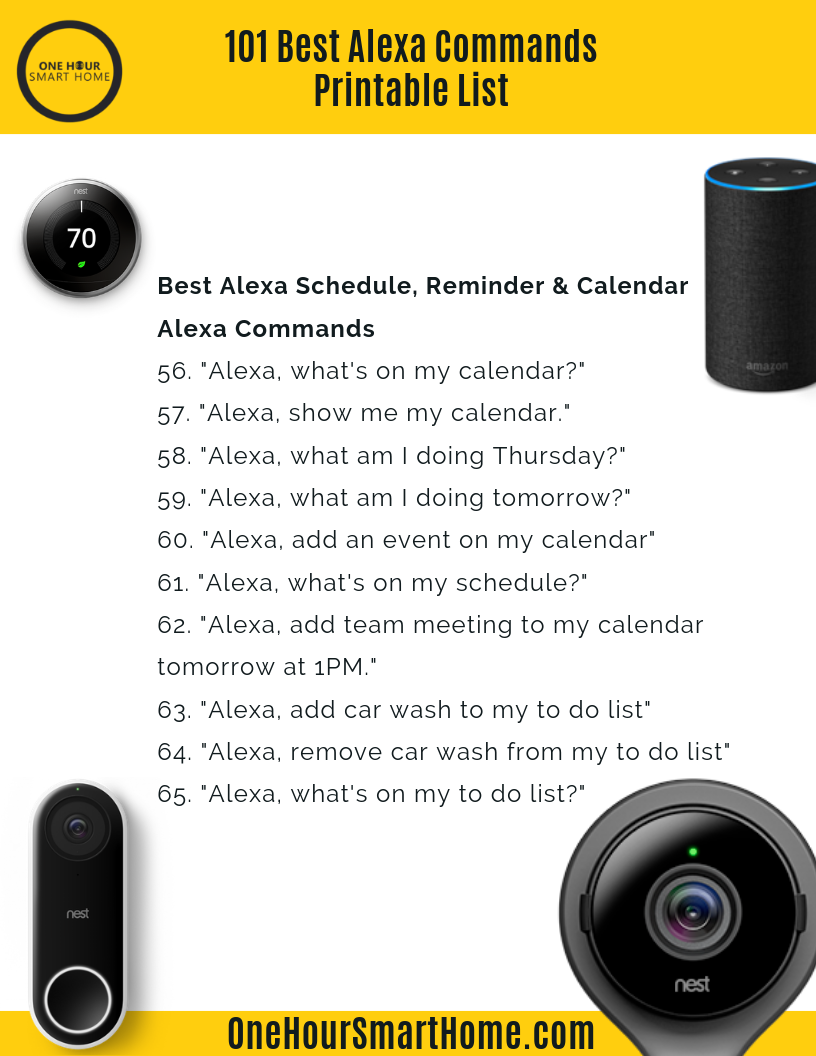 101 Best Alexa Skills :: Most Useful Alexa Commands List 2024