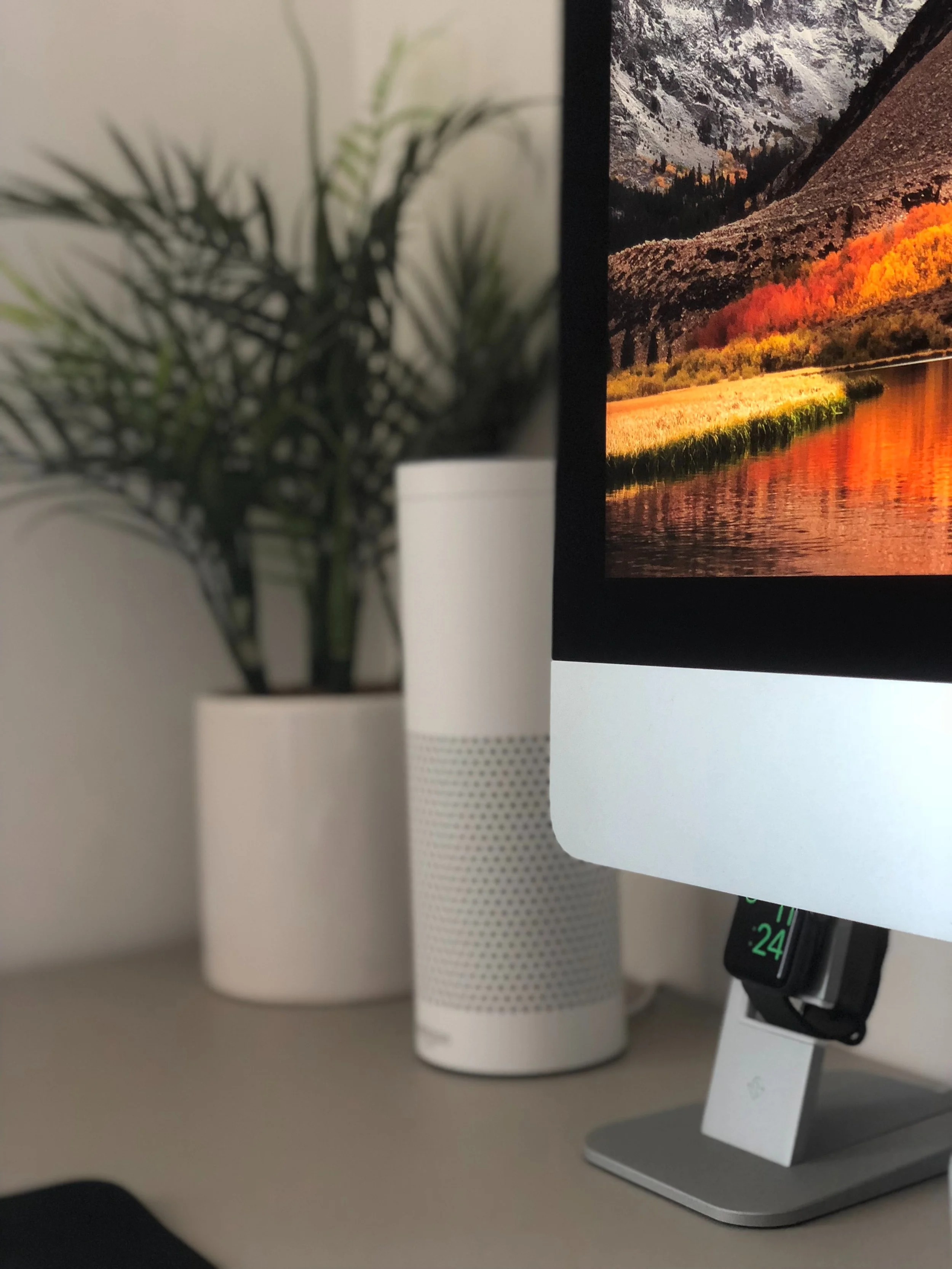 best voice assistant device