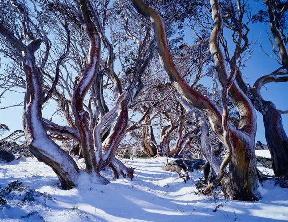 2016 Winter Newsletter