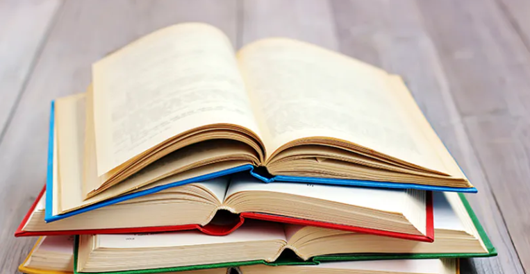 Commonwealth Literature: Passages of Discovery