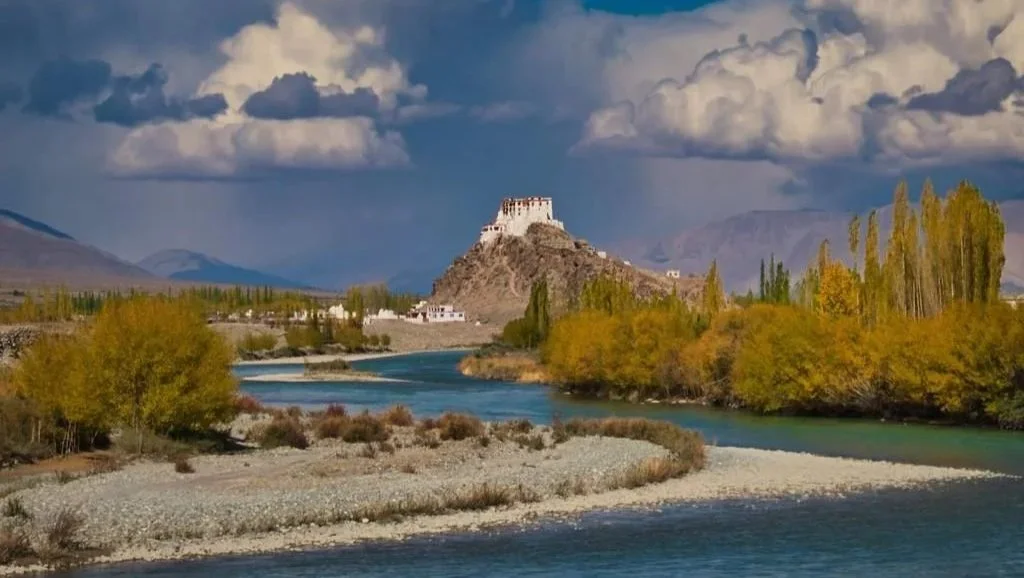 RCS Council meeting (council members and invited guests)