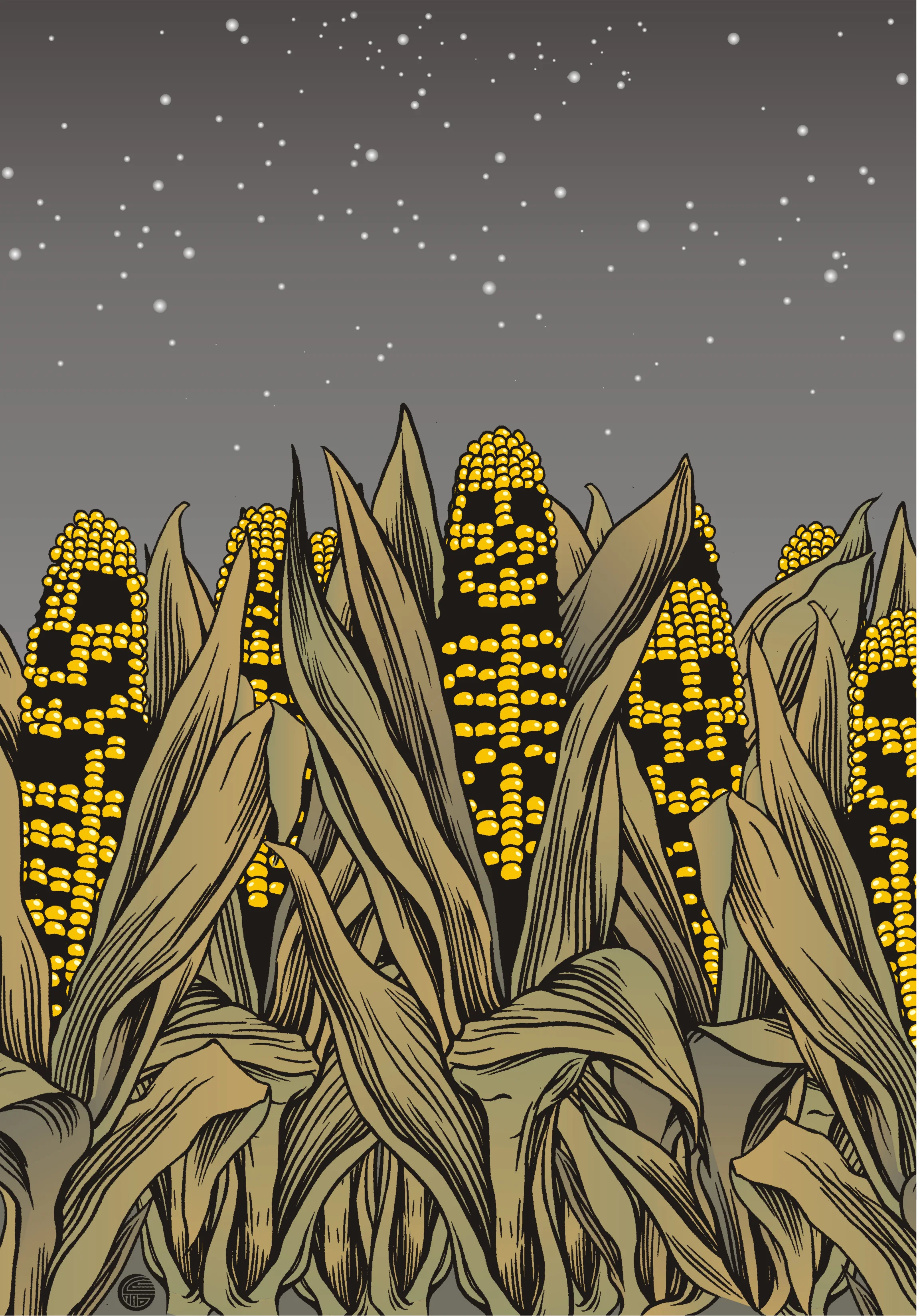 corn.jpg