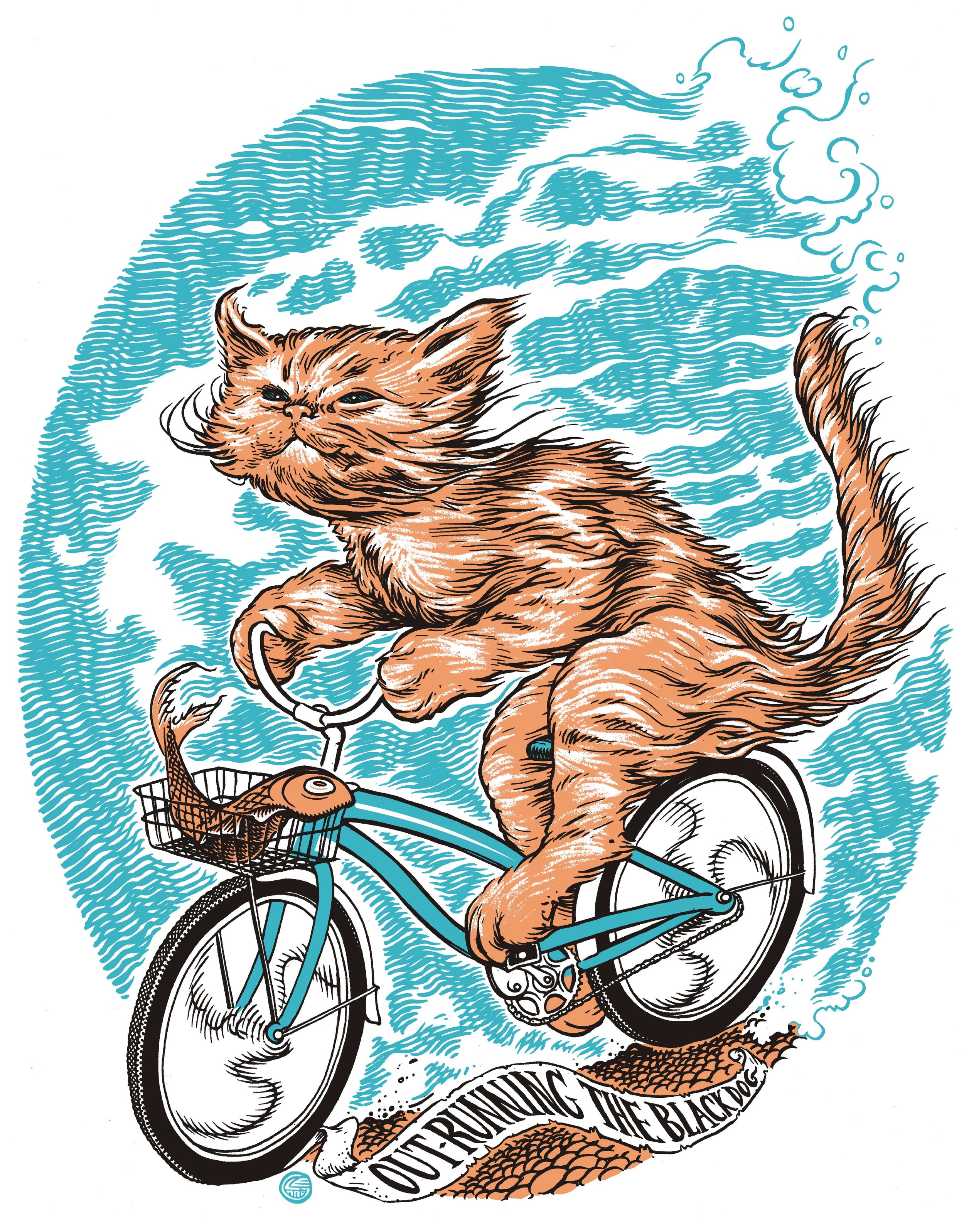 cat on a bike colour final.jpg
