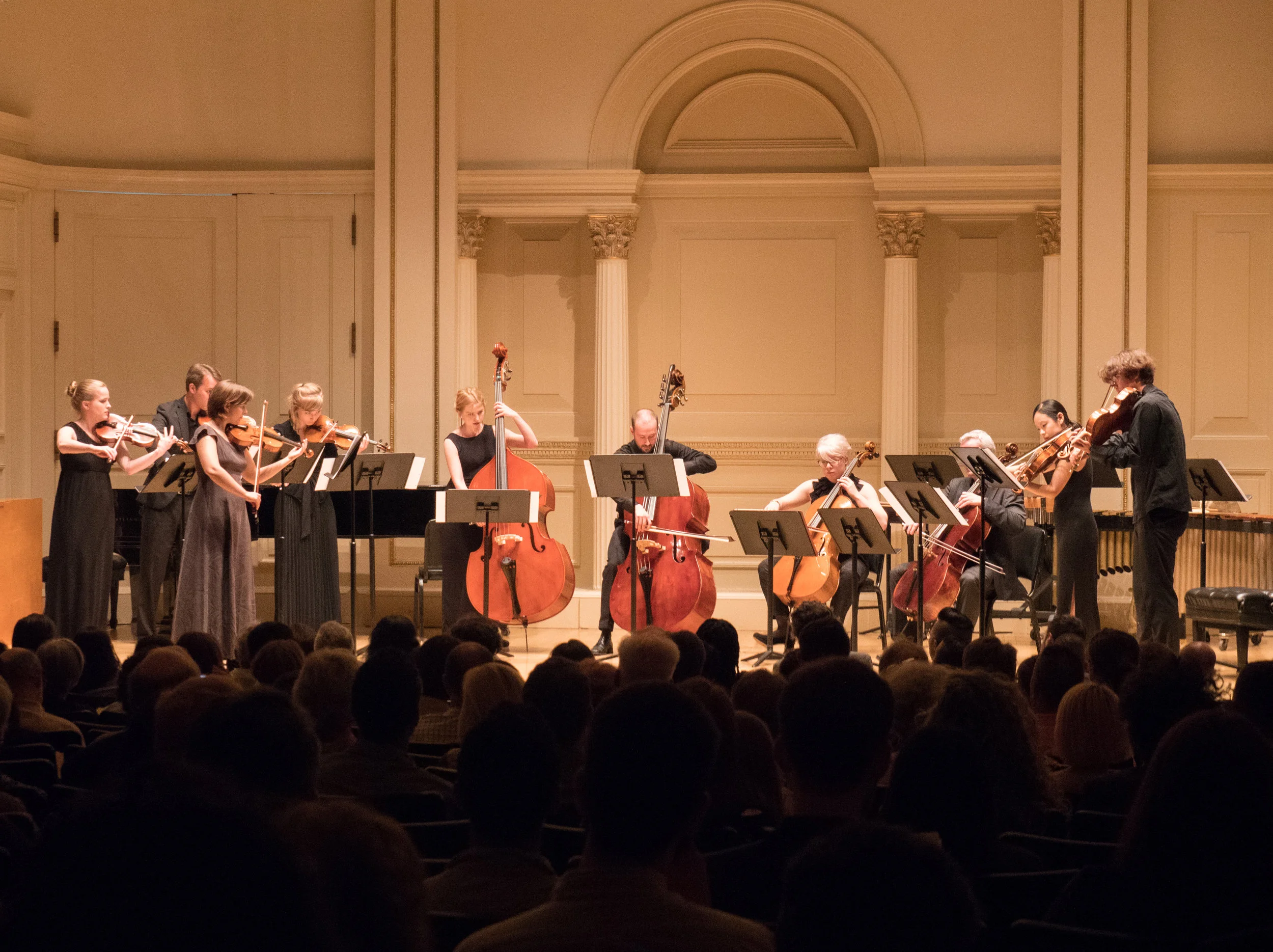 Strings (240 of 342).jpg