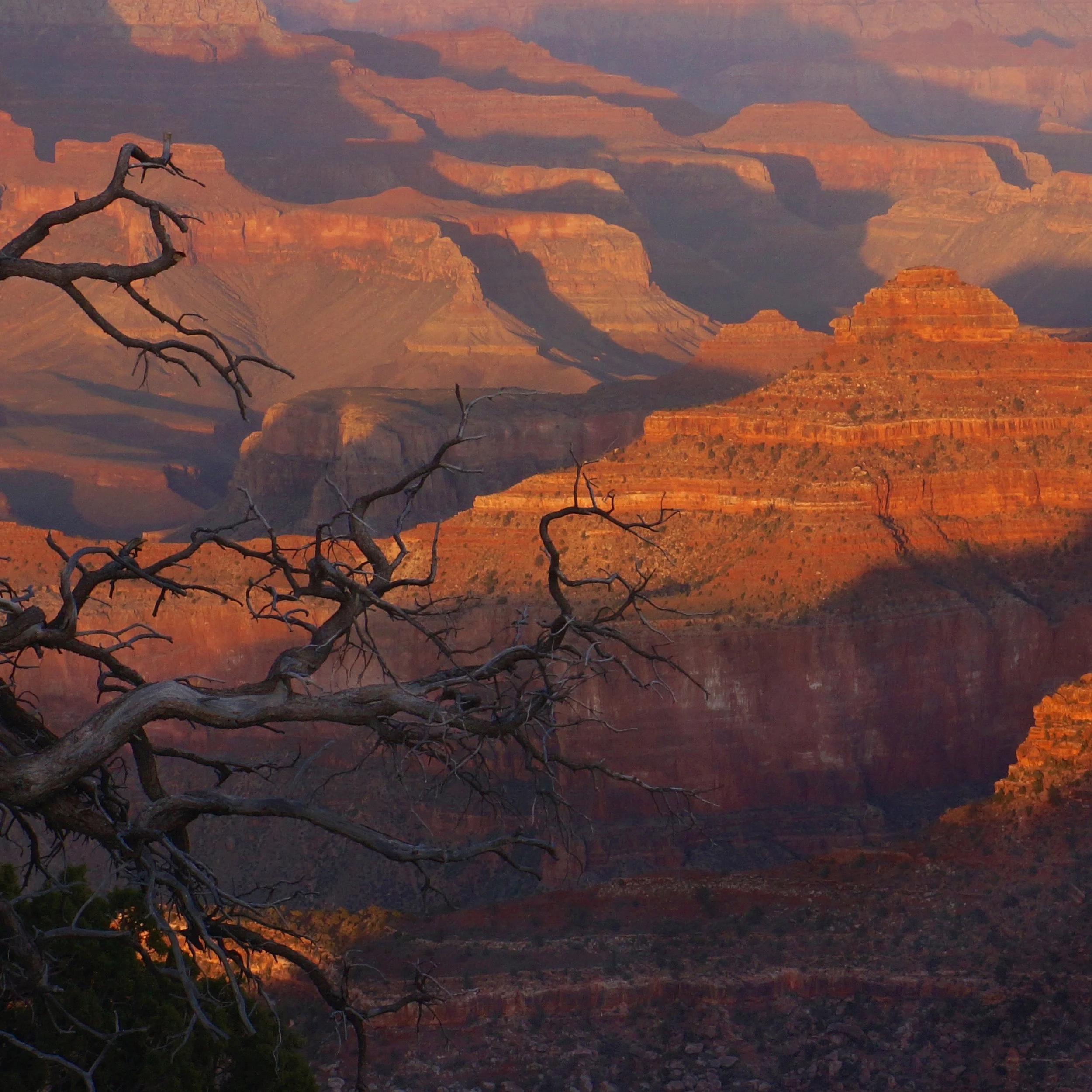 Grand Canyon, Arizona