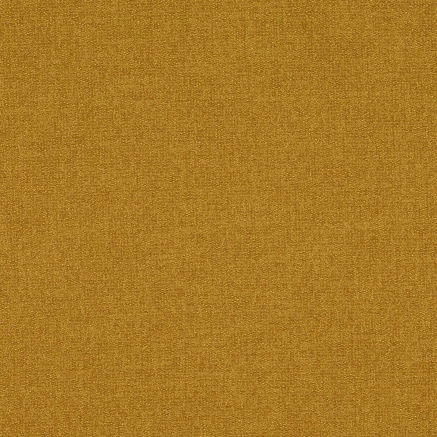 016 Butterscotch