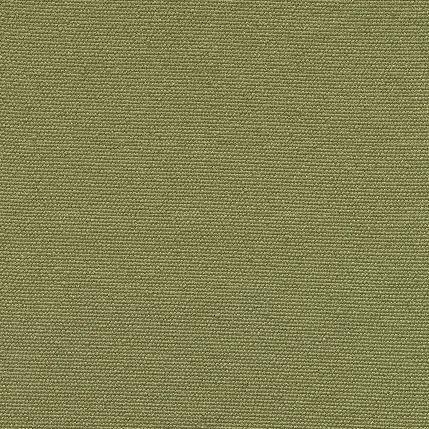 029 Pistachio