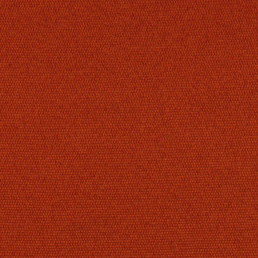 024 Poppy