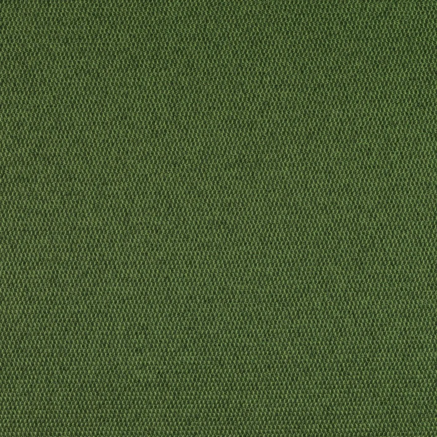 045 Cactus
