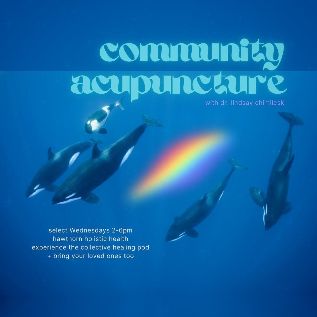 ✨Community Acupuncture 🐋🐳🐋🐬🐳🐬
returns to Hawthorn starting next week. 

WHY
💫 Synergistic benefits of healing together
💫 Sense of connectedness &amp; shared well-being 
💫 Affordable
💫 &ldquo;We&rsquo;re all in this together&rdquo; mentality