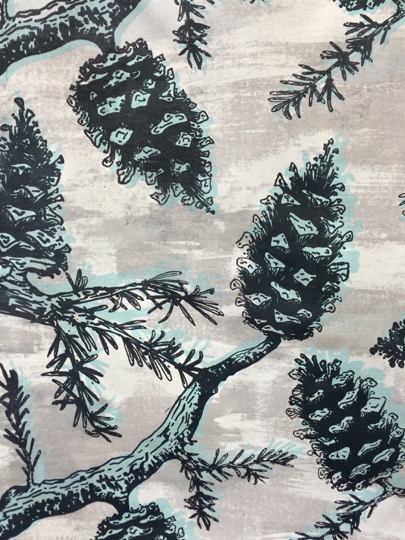 pinecones3.jpg