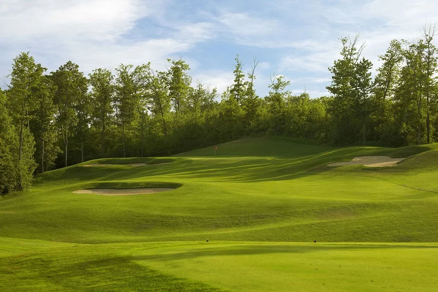 Golden Eagle Gc