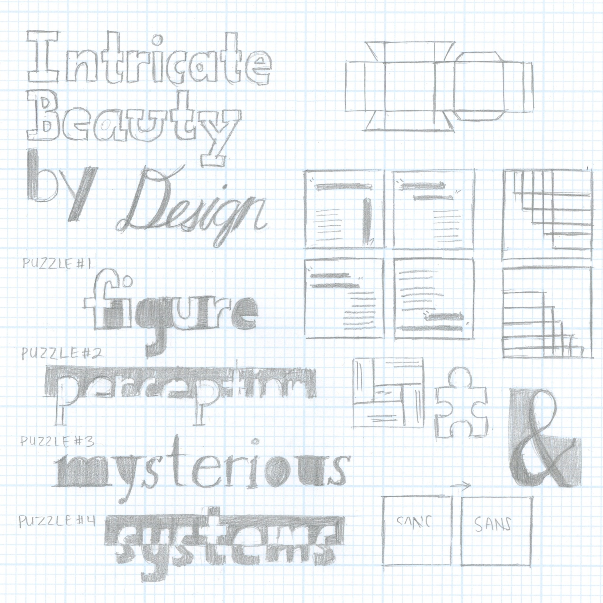 Abstract Type Puzzles