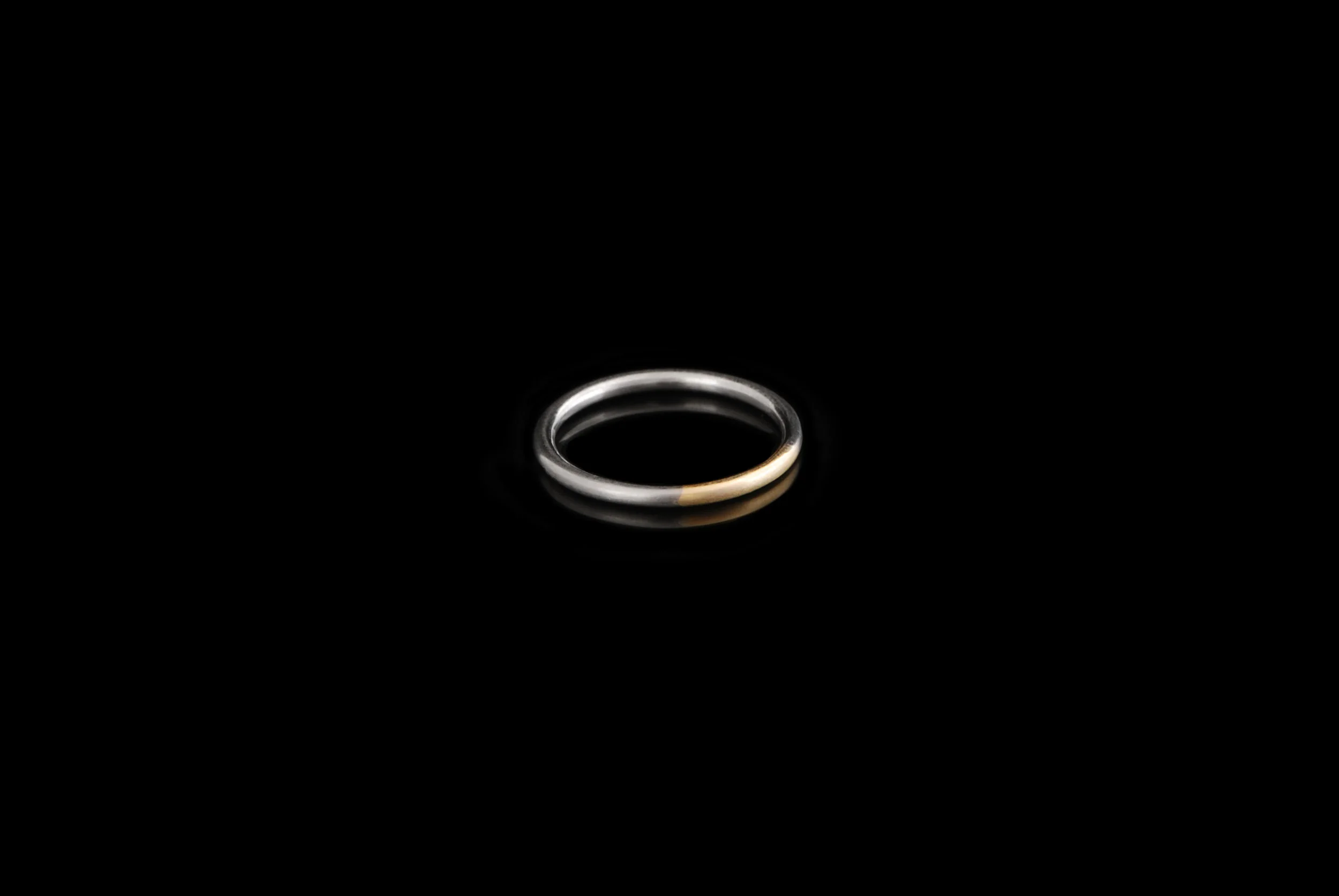 StackingRing_GoldSilver_1.jpg