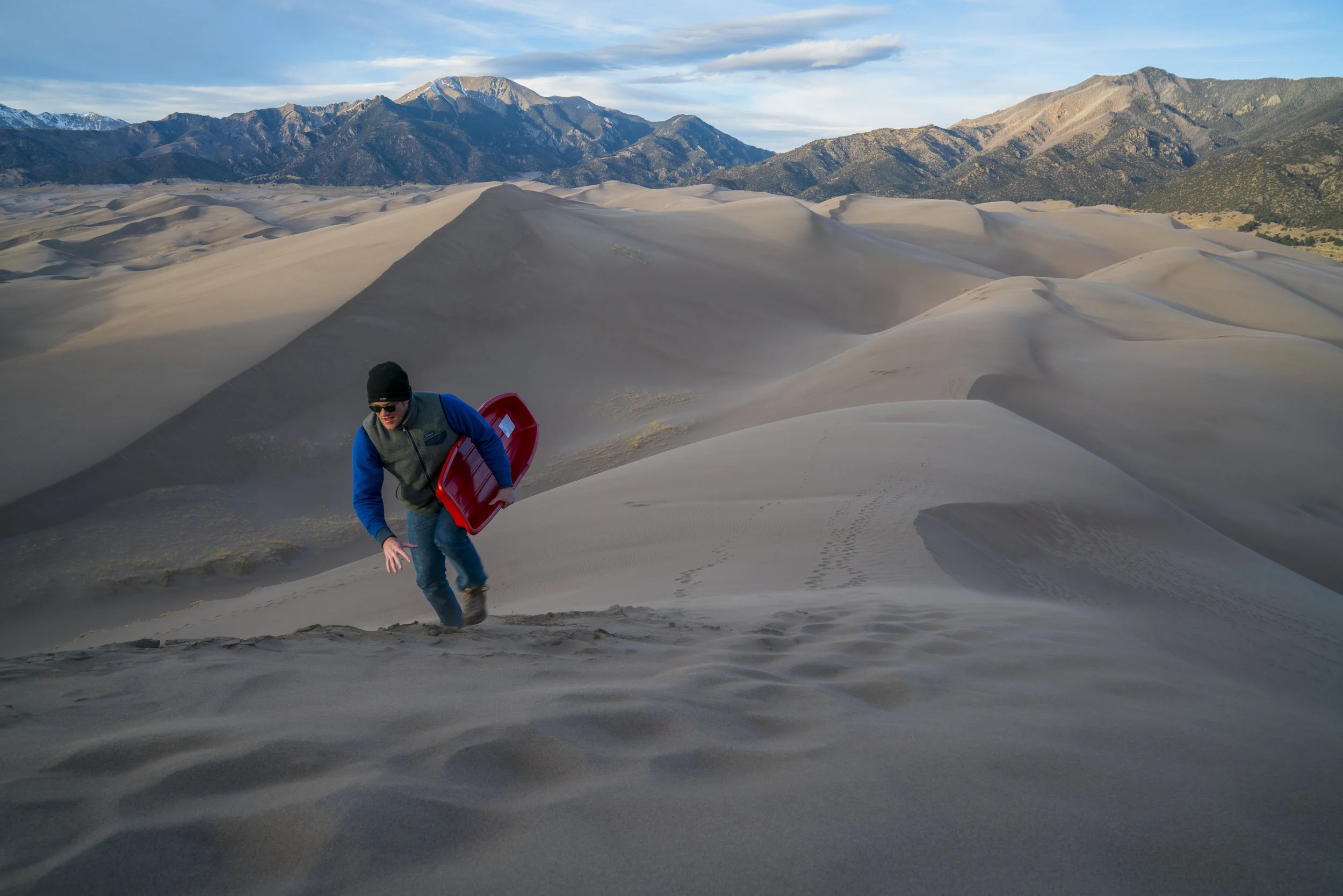 Dunes Feral 43.jpg