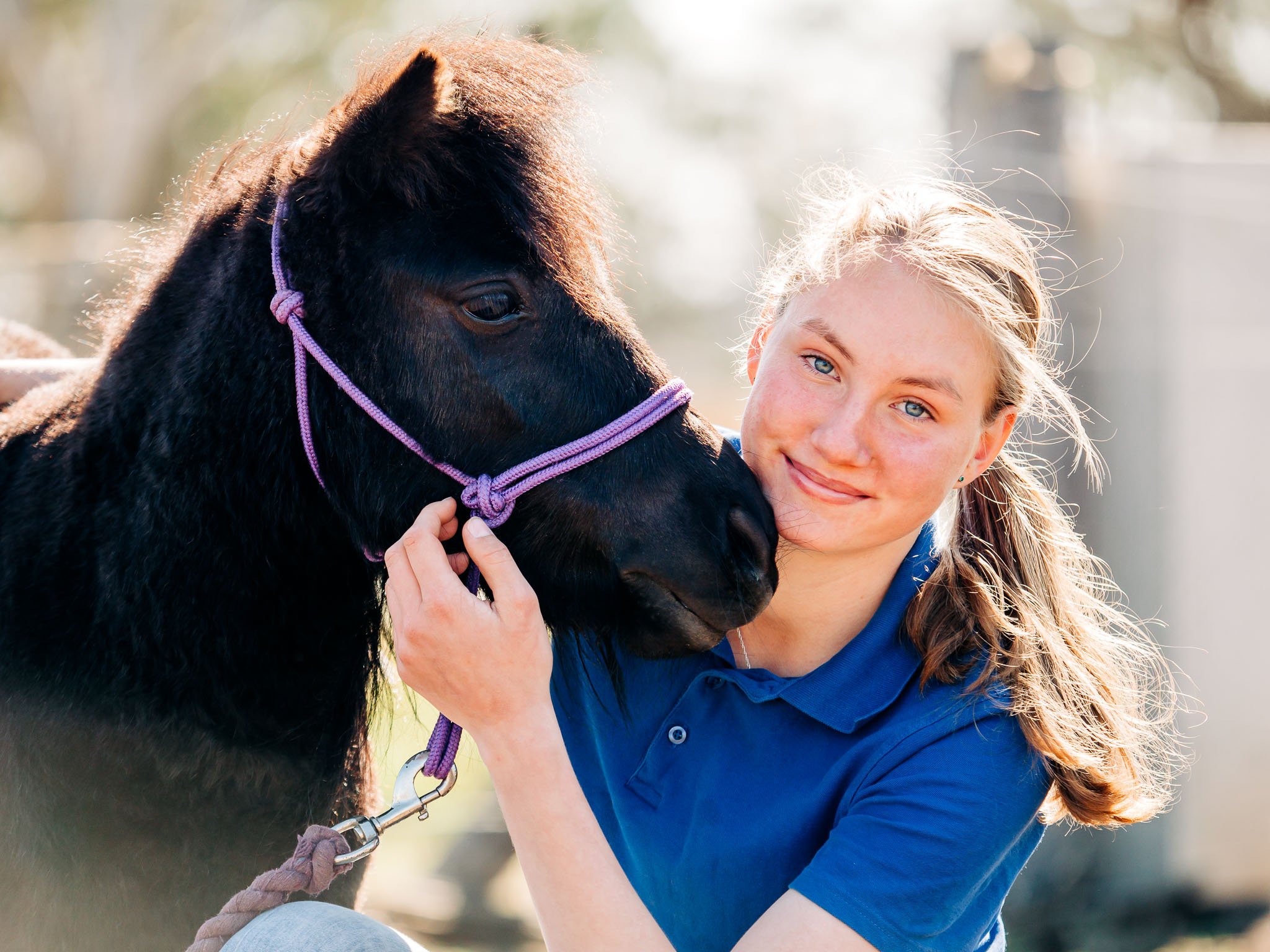 brisbane-horse-photographer-43.jpg