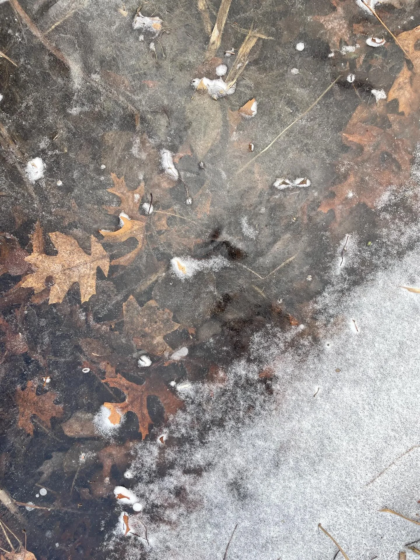 January: frozen ponds at beech forest
February: the first sweater
March: Amsterdam 
April: Iceland 
May: Beer Garden opening
June: sunset on the moors
July: proud bandana parent
August: self portrait
September: willow basket making
October: my favori