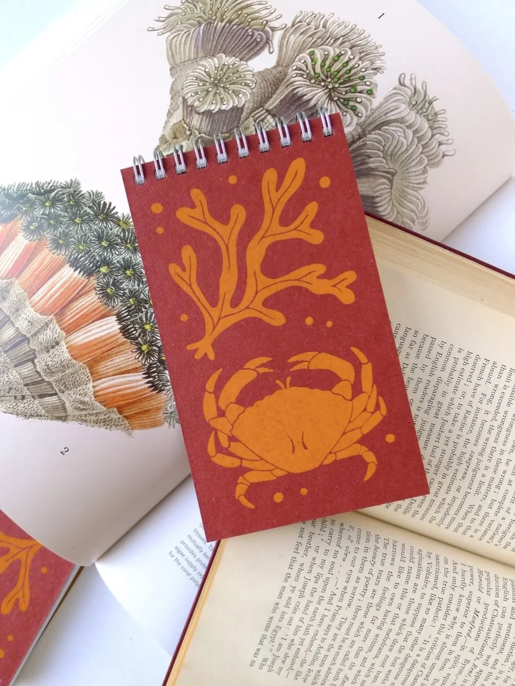 I got very nautical with the new notebook designs this time around. Right now my webshop is closed (I&rsquo;m sorry) while we prep the new @flotsam.design retail spot in Provincetown! It&rsquo;s just too much to handle shipping orders along with ever