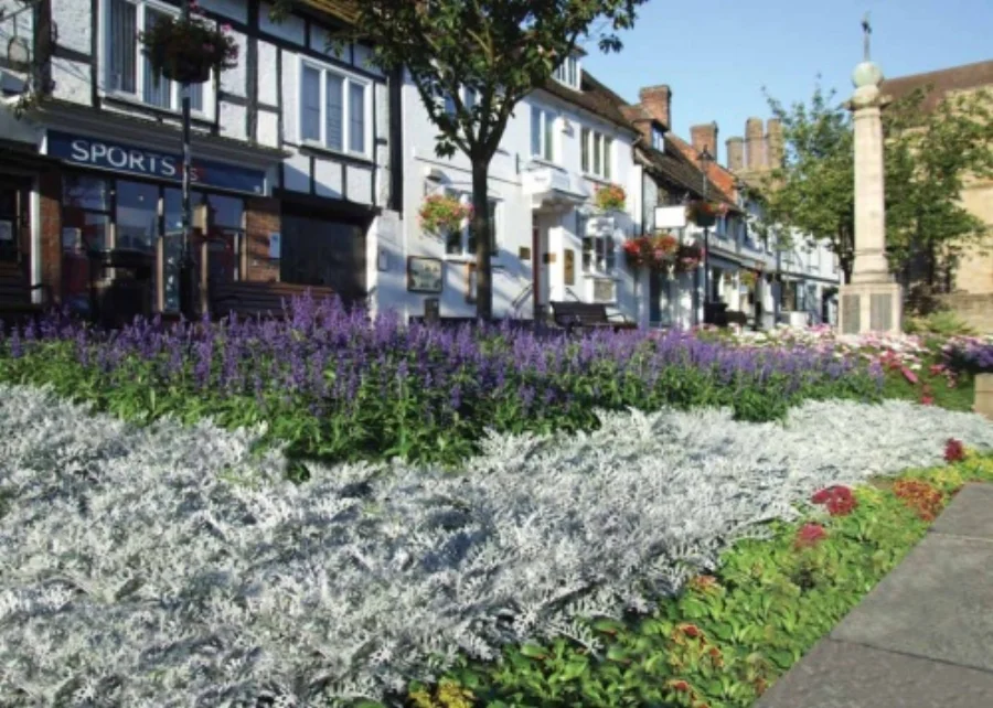 east-grinstead-in-bloom.jpg