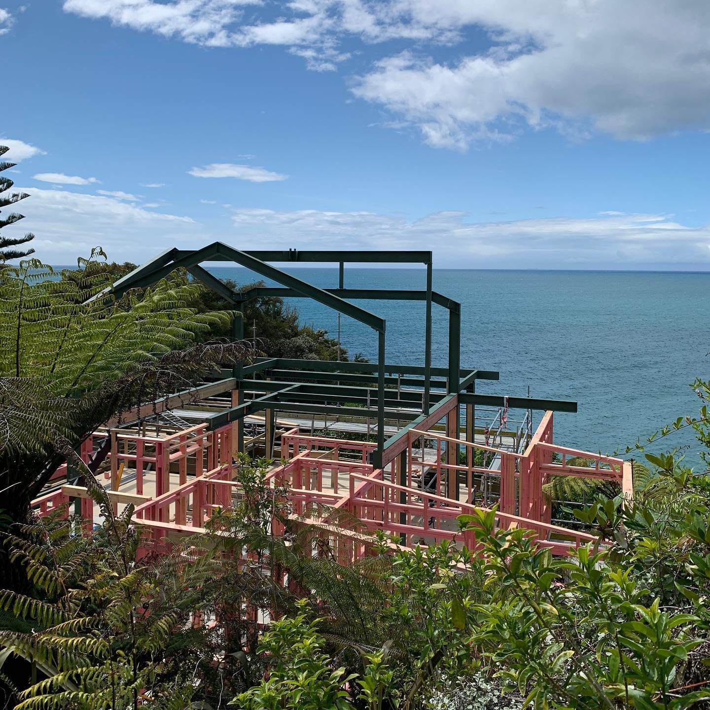 The steelwork is rising out of the bush at our latest bach project on the fringes of the Abel Tasman National Park. Thanks to our contractor J Lewis Building 👏🏻 
#architecturenz #nzarchitect #nelsontasmannz