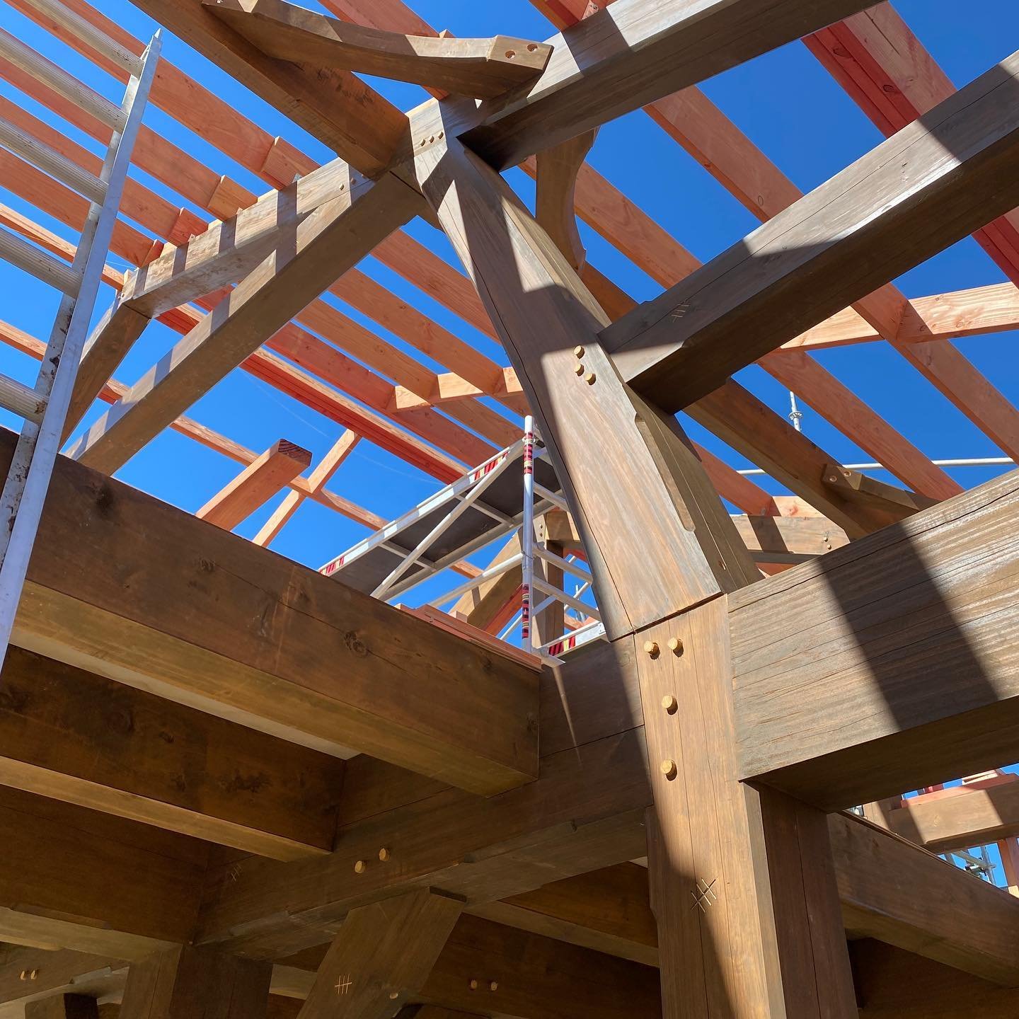 The traditional timber construction methods being used on our Takaka Co-housing project by the team @elemental.build 

#timberconstruction #nzarchitecture #nzarchitects #cohousing