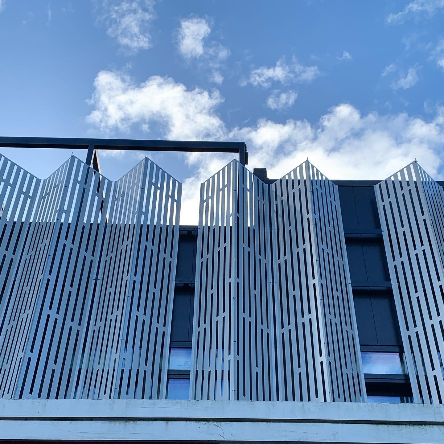The scaffolding is down and the perforated screens are up on our Hardy Street apartment project. Bringing more inner city living to Nelson these dwellings all have an outdoor rooftop terrace as well. Interiors are nearing completion with the team at 
