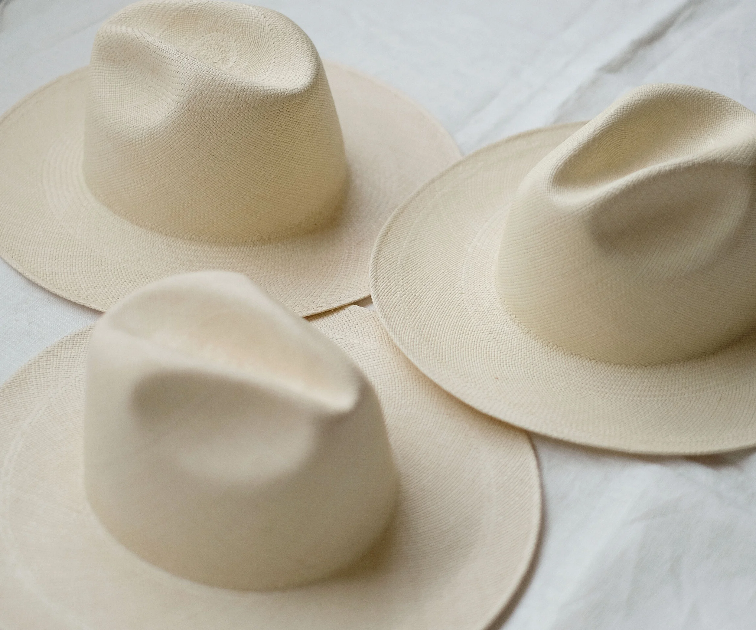 2021SS Collection "SWAN"