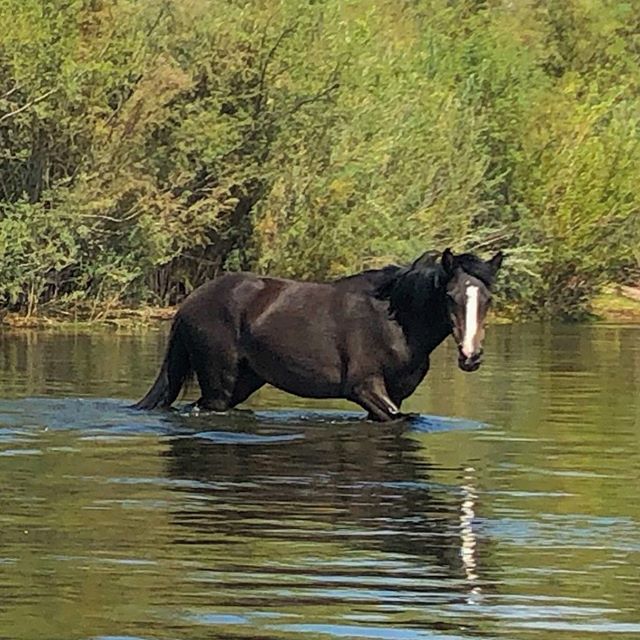 Oh Hay!
Summers coming to a close! Head on over to KINGBEEADVENTURE.COM right now and sign up to venture out with the King Bee!