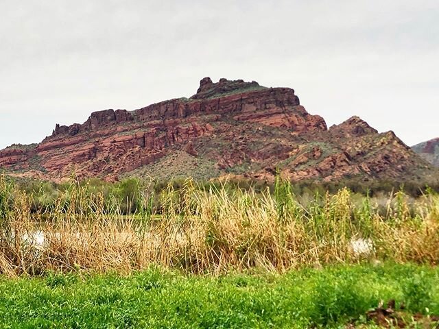 Another day, another photo of Red Mountain... Warmer days are on the horizon! Time to stretch out limbs and go see what there is to see!