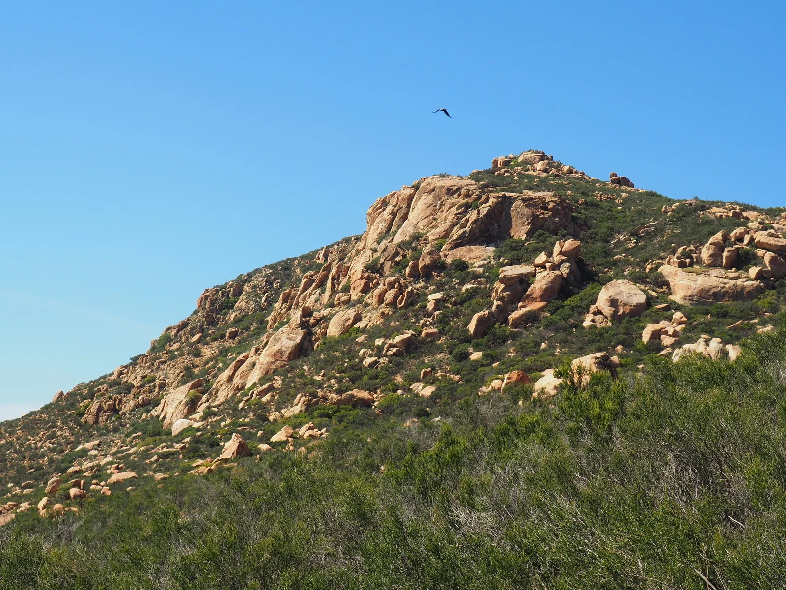 Day 2 - The Devil's Anvil