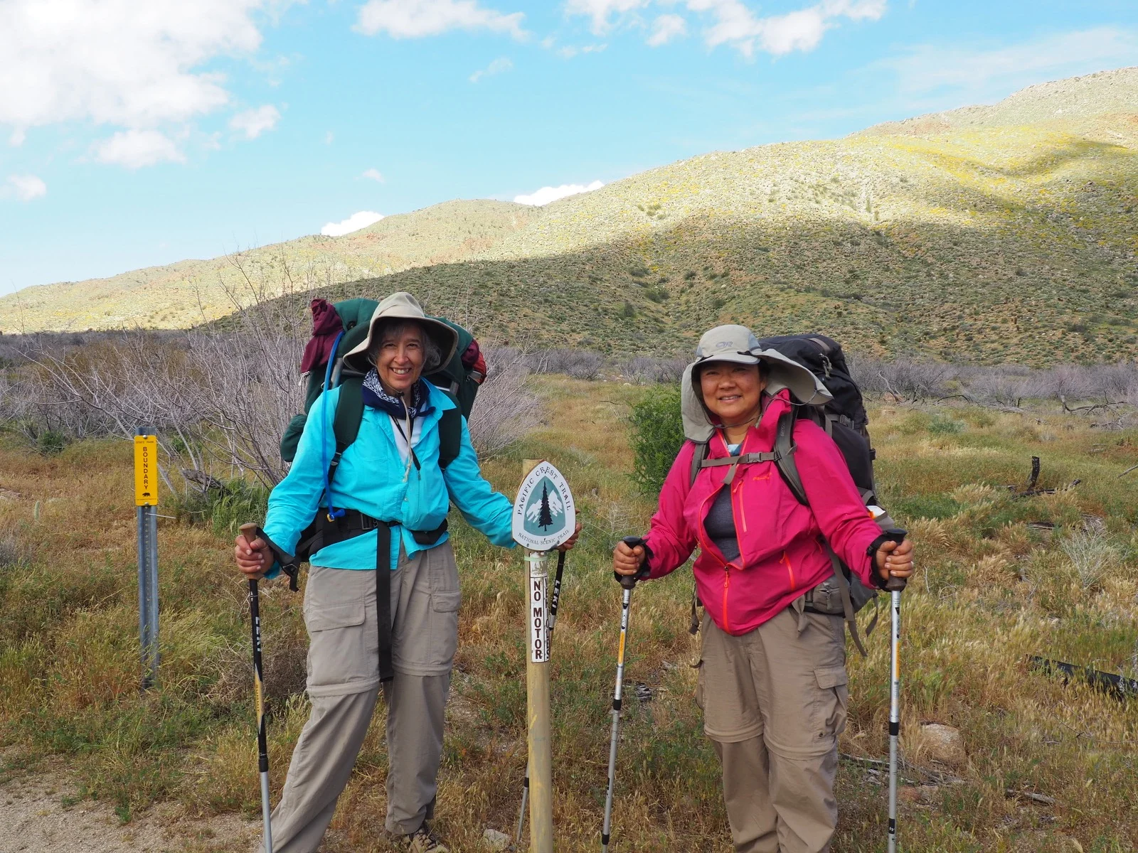 Day 7 - Blooming Desert