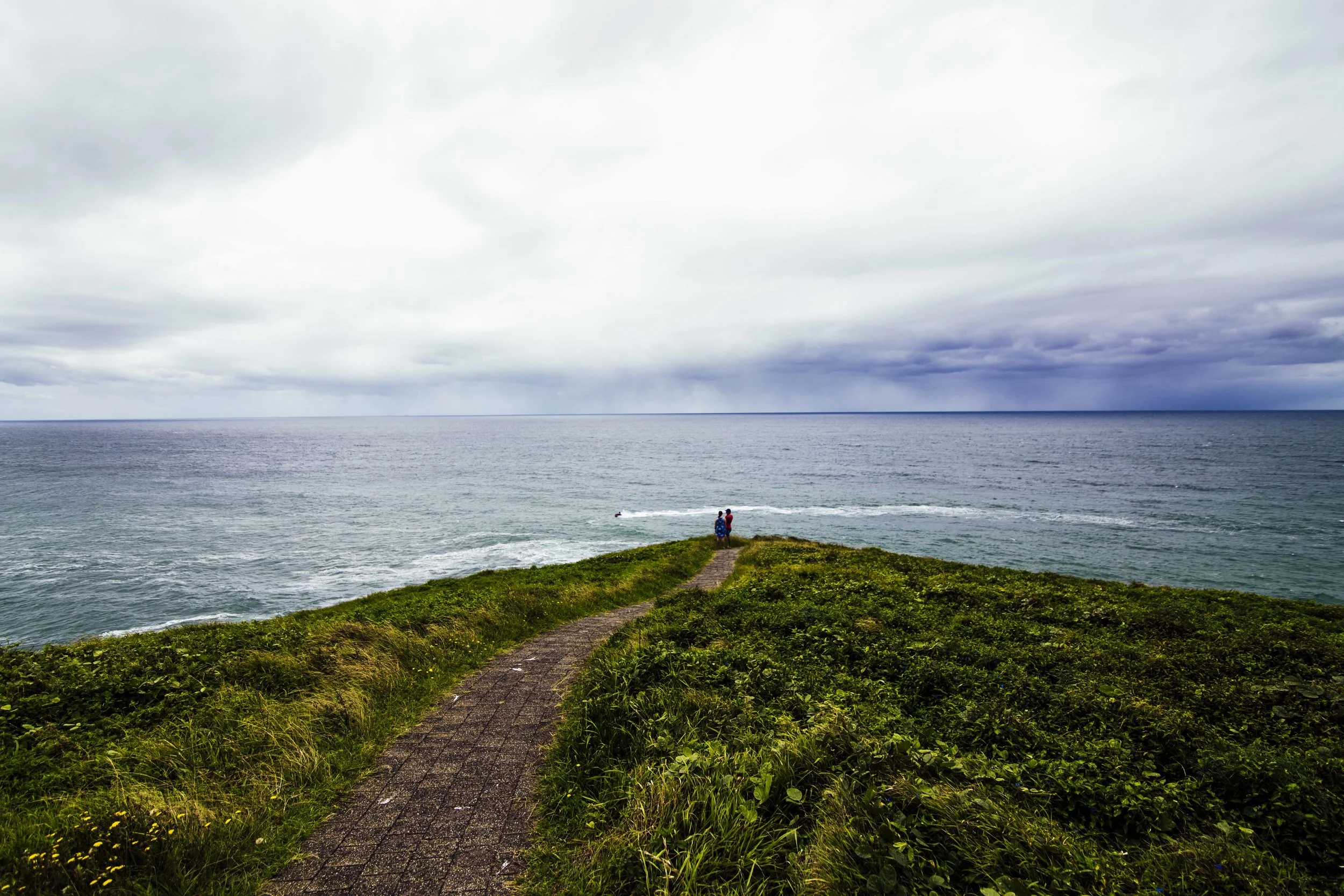 Muttons Bird Island. Photo: Marine Raynard